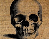 Digital Collage Sheet Halloween Burlap Digital Download Skull Front Anatomy Fabric Transfer Iron On Pillows Tote Bags Tea Towels No. 1139