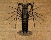 Lobster Large Sea Life Beach Ocean Seashore Oceanography Digital Image Download Transfer To Pillows Tote Tea Towels Burlap No. 2763