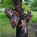 Epic Leather Modular Armor: Dragon Slayers Bastion - Upper Portion