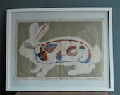 Vintage Anatomical Rabbit Circulatory Chart Framed 1979