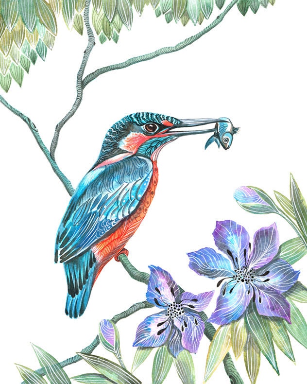 Kingfisher bird, wild life watercolor art print, size 8x10. LIMITED EDITION 4/100 (No. 9)