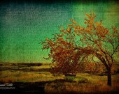 Waiting for the Train - 8 x 12 Fine Art Photo