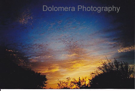Desert Gold at Sunset, 5x7 Color Nature Photograph, Arizona Night Sky