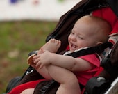 Mezoome Stroller Liner