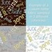 Custom NAME Original Fabric Design