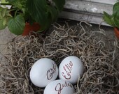 Mother's Nest with Personalized Eggs