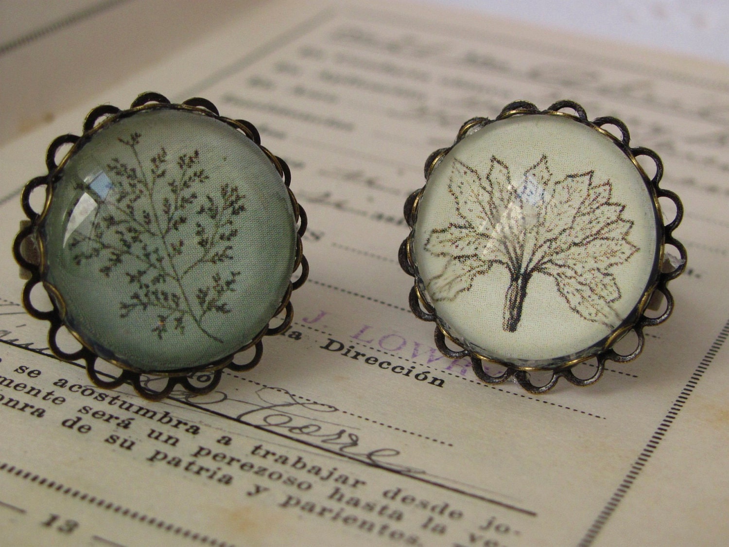 Jewelry, Botany "Pair" of rings
