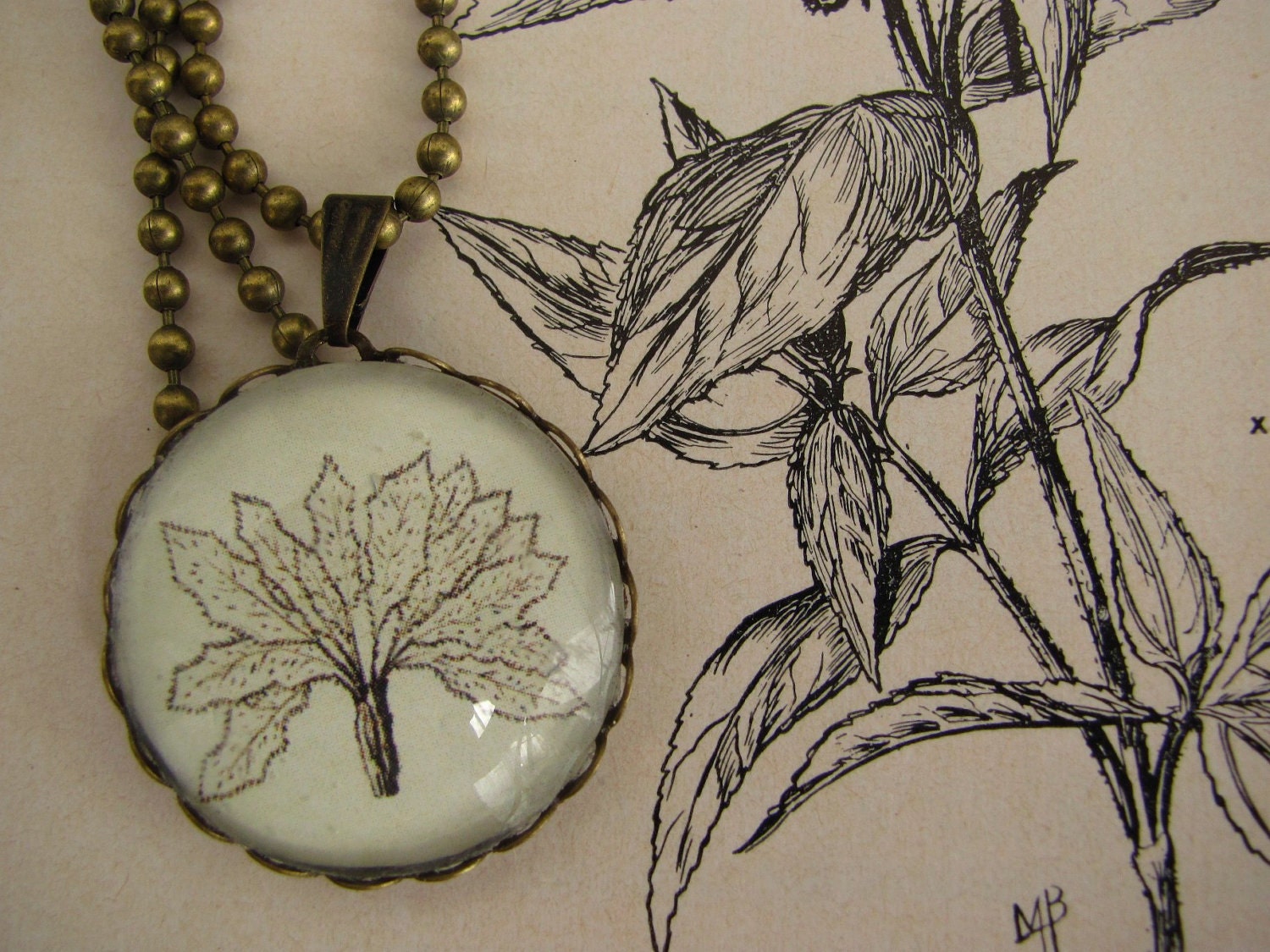 jewelry necklace, ilustrated, botany
