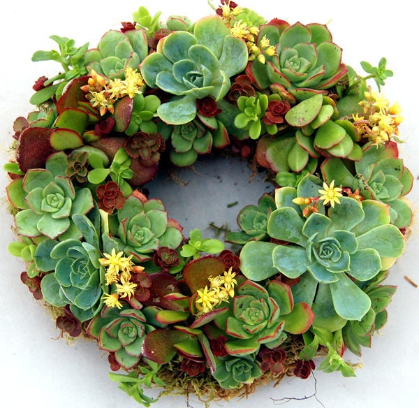 Succulent Wreath Happiness 9"