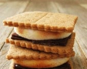 NEW Campfire Smores