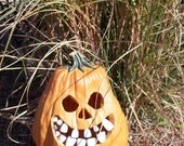 pumpkin teeth 3 Pack " Buckteeth"  Lg, Med, Sm  (36) Teeth in Total ships to  USA, United Kingdom,UK,