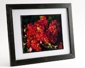 Framed Crape Myrtle Print