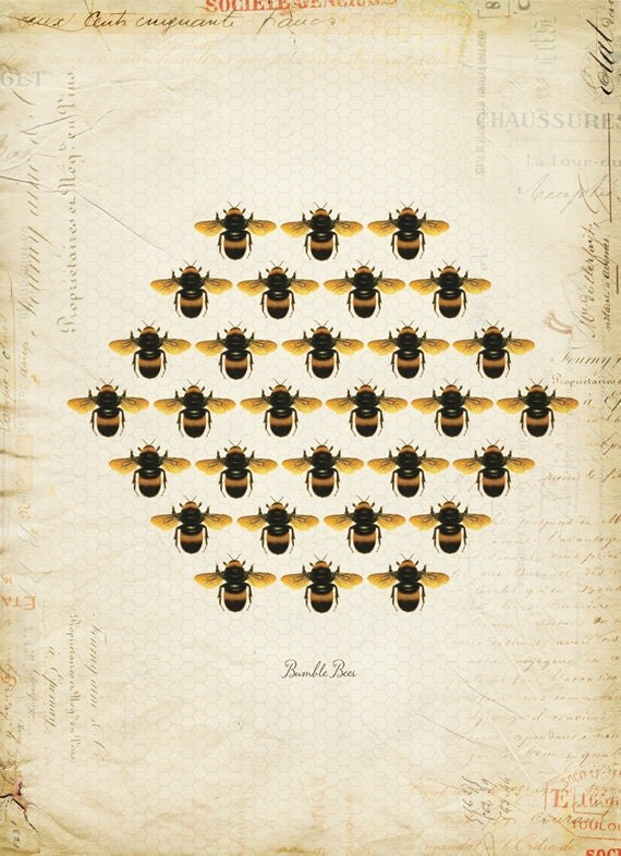 Vintage Bumble Bees Honeycomb on French Ephemera Print 8x10 P53