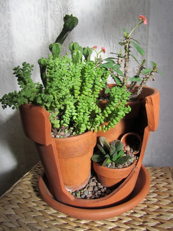 Upcycled Broken Pot Cactus/ Succulent Garden