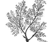 Sea Fern in Charcoal
