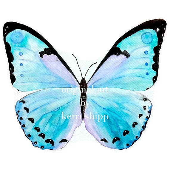 Butterfly in Aqua - Petit Papillon
