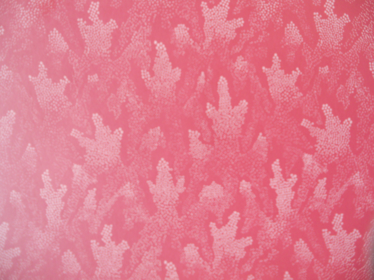 White Floral Schumacher Wallpaper Rolls