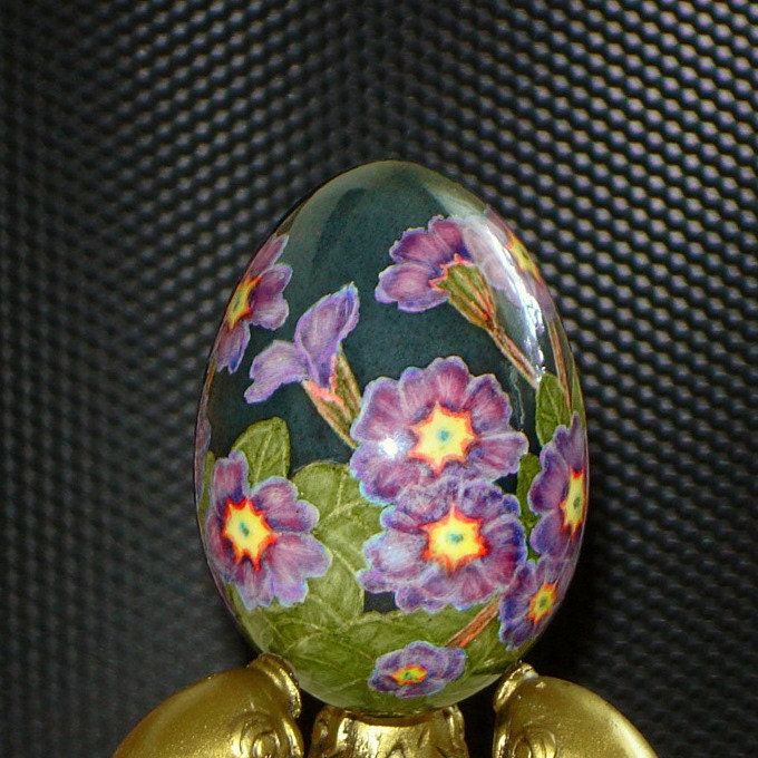 Garden primula on darkly grey background. Duck egg. Easter eggs.