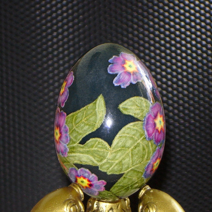 Garden primula on darkly grey background. Duck egg. Easter eggs.