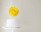 Oversized Cake Pom with Complimentary Custom Message Sash Il_170x135