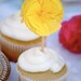 The Original Peppy Toppers (Set of 12)