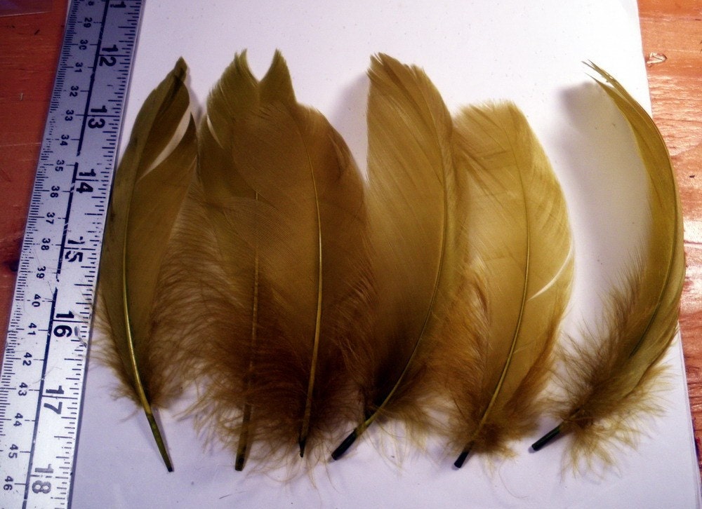 Olive Feathers Goose Shoulders craft feathers loose feathers