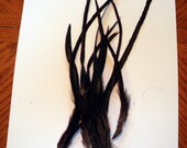 12 long feather extensions 6 to 10 inches natural black reduced hair feathers