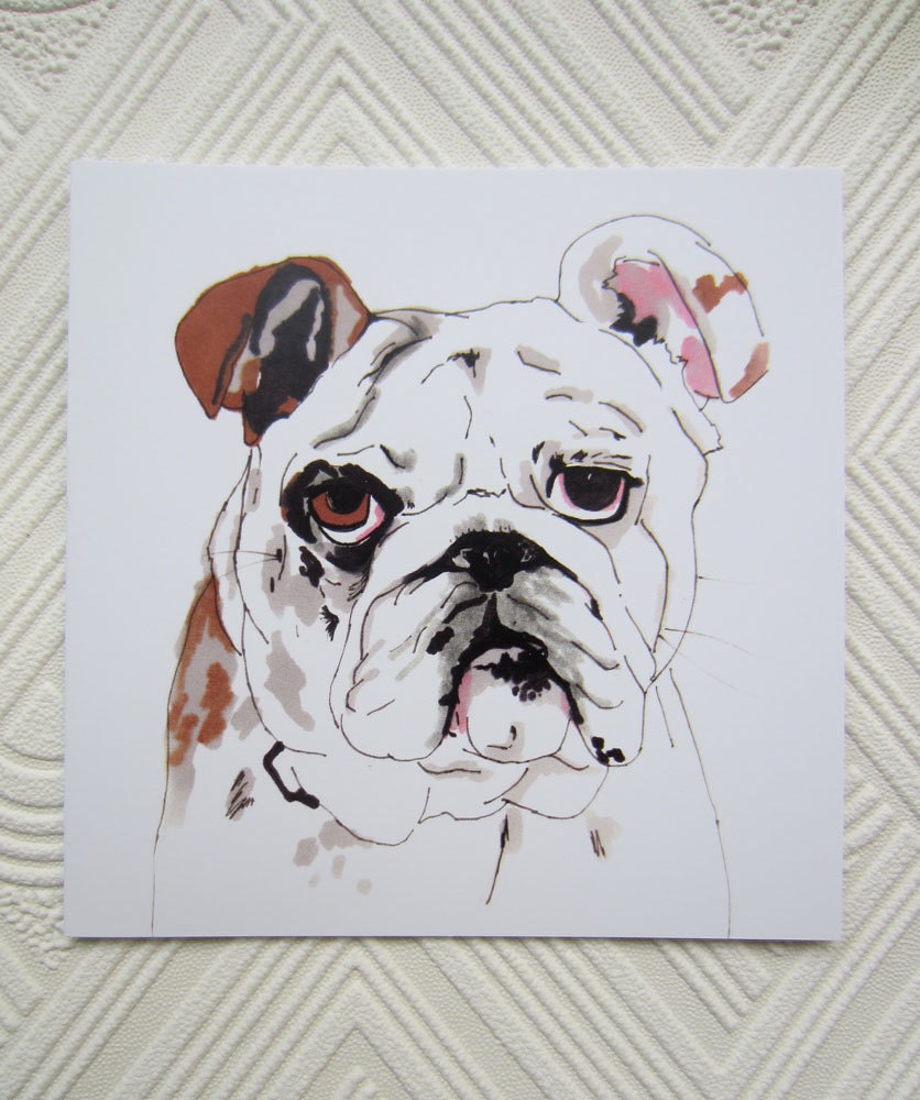 Boss Hog - Square blank greetings card