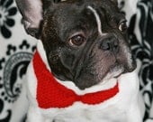 Red Decor necklace for you pet. Dream about Butterflies by DMpics on Etsy