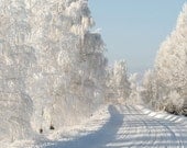 Fine art photography print, nature photography. Winter Road. Latvia. (8 x 12) by DMpics on Etsy.