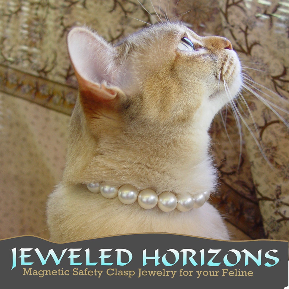 Classy Cat Collar--Pearls for your kitty