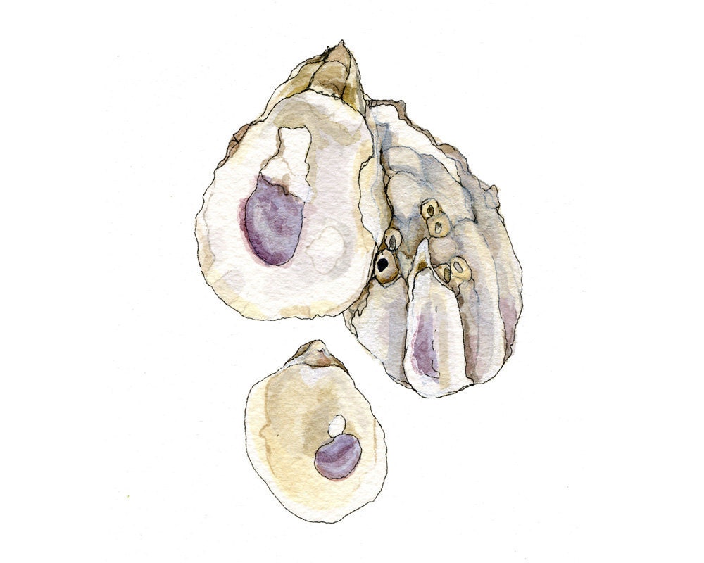 Oyster Shells, Eco Friendly Nature Print, 4x6