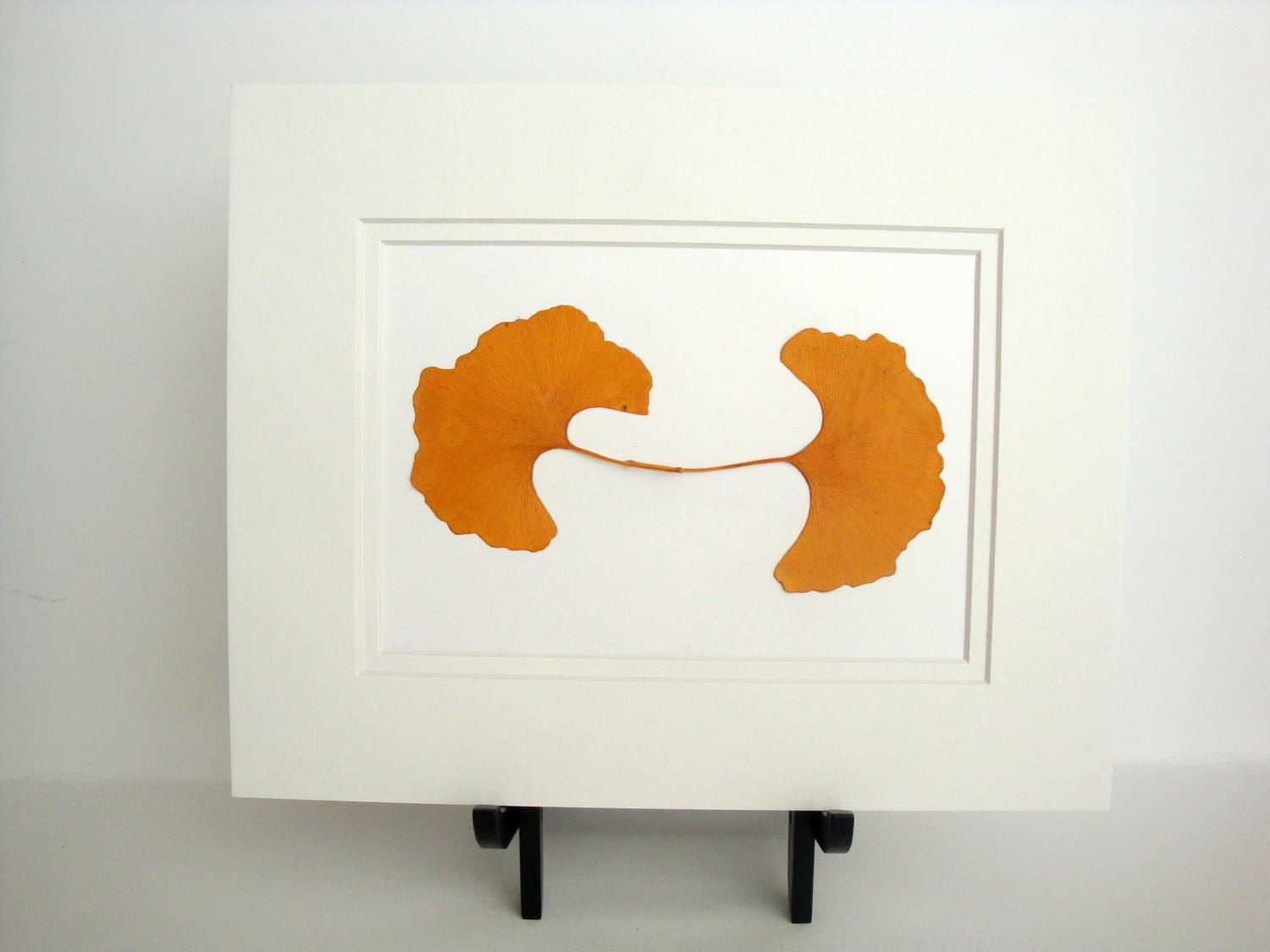 Golden Ginkgo leaves-- unframed and matted
