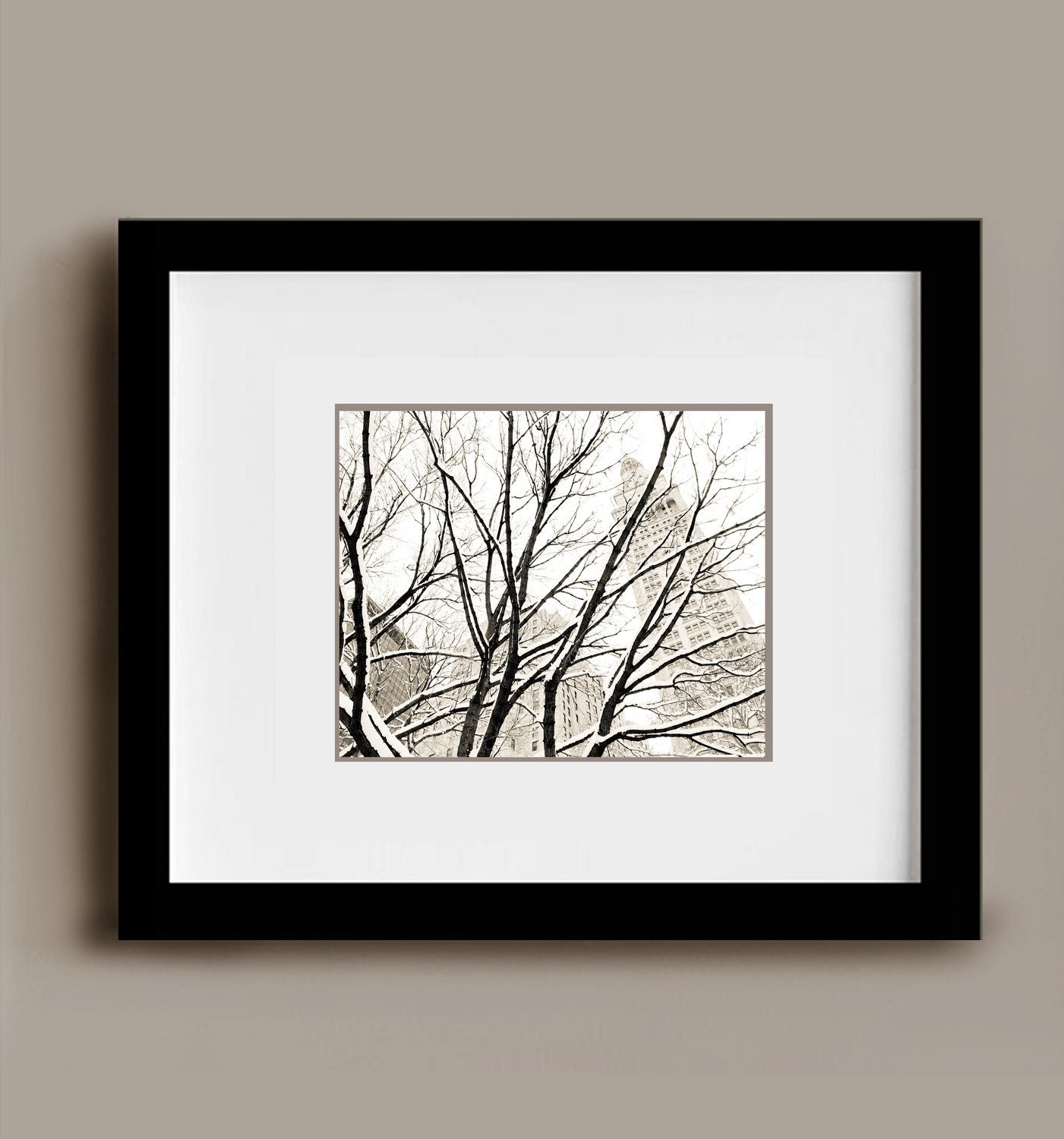 Through the Trees - 8x10 Original Fine Art Photograph