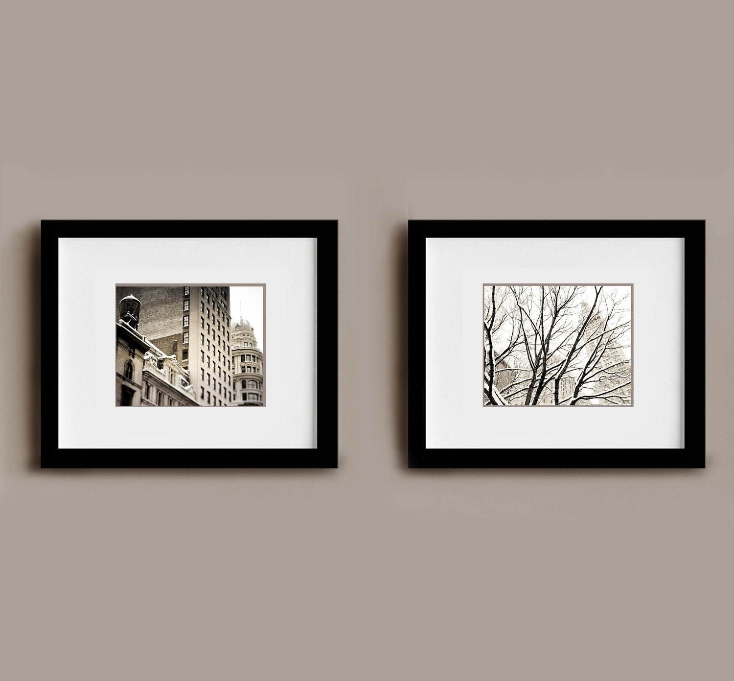 Through the Trees - 8x10 Original Fine Art Photograph