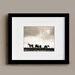 Wild as the Wind - 8x10 Original Fine Art Photograph - Horses - Ireland - Black and White - Countryside