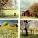 The Vanishing Landscape - Set of 4 Handmade Blank Landscape Photo Greeting Cards