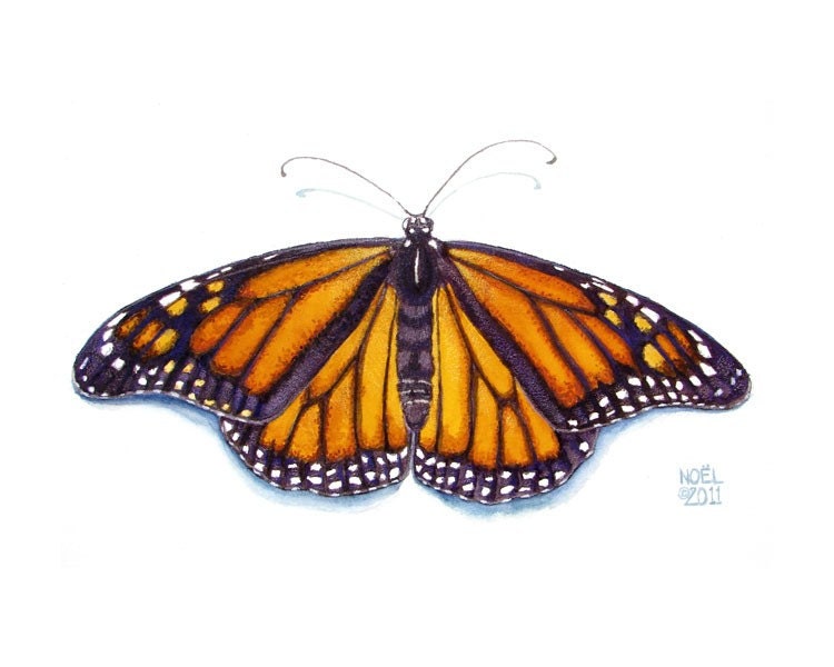 Monarch Butterfly, Pearl Metallic Paper, 8x10 Inches