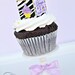 One Dozen Zebra Lavender Photo Cupcake Keepsakes Party Toppers Favors
