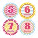 Baby Photo Prop Monthly Onesie Stickers - Jade - Posh and Preppy Patterns in Pink, Yellow, and Blue - Baby Month Stickers