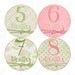 Monthly Onesie Stickers Baby Month Stickers - Ella - Shabby Chic Look with Bows - Great Baby Shower Gift and Photo Prop