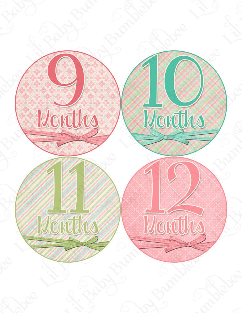 Monthly Onesie Stickers Baby Month Stickers - Ella - Shabby Chic Look with Bows - Great Baby Shower Gift and Photo Prop