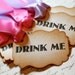 Vintage Inspired "Drink Me" Tags - Set of 10 - You Choose Ribbon Color