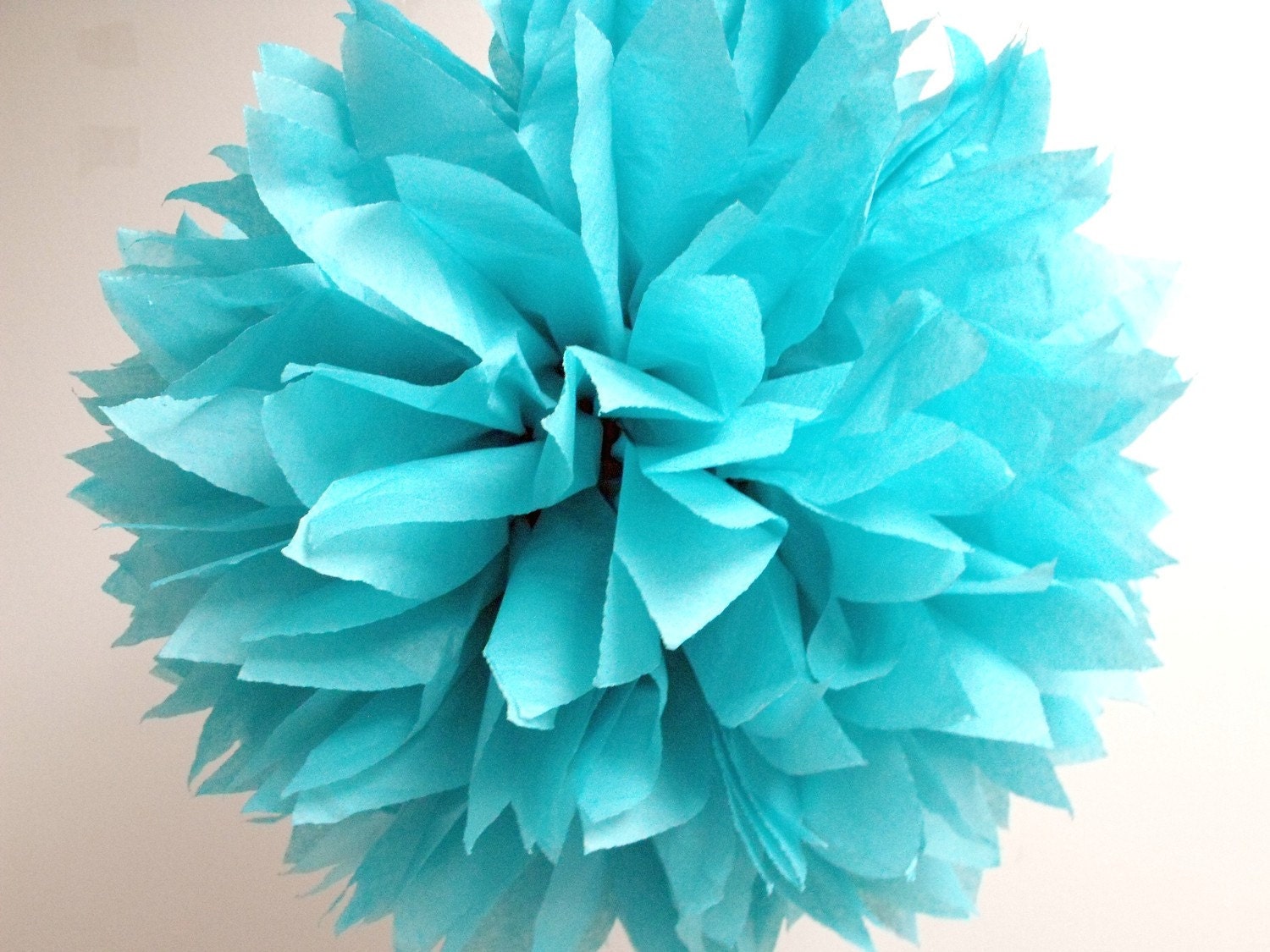 Pom pom ... Lagoon ... 1 Pom Il_570xn