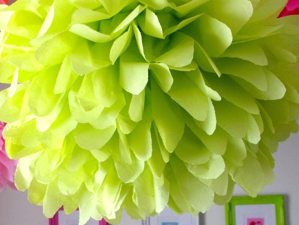 Lime ... 1 Pom Il_570xn
