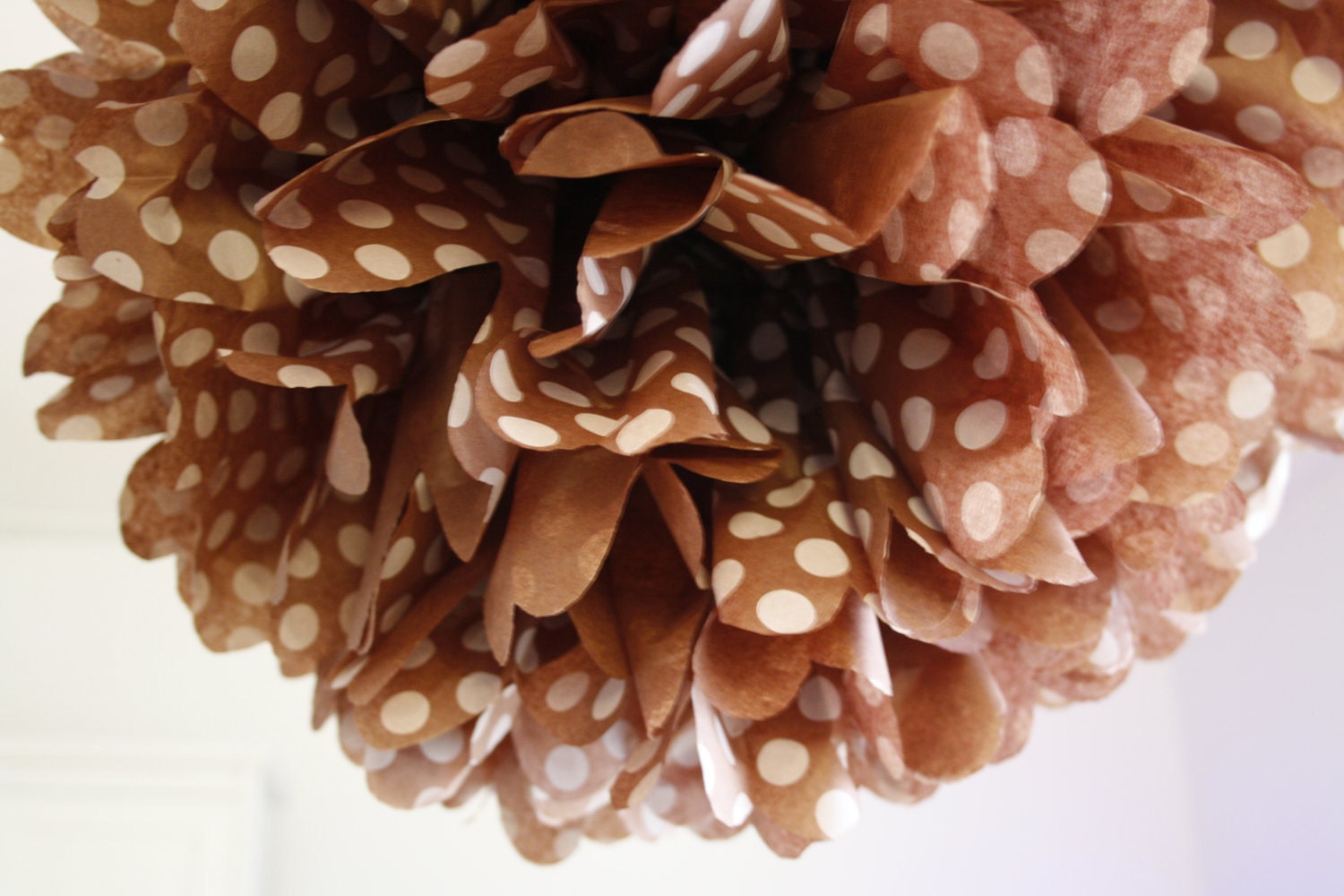 Chocolate Dot ... 1 Pom - LIMITED EDITION Il_570xn