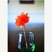 12 centerpiece poms ... Diy Kit