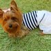 Dog bloomer shorts white and navy blue - limited edition by Ooh Leela - handmade - MEDIUM