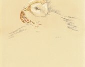Original BARN OWL pencil drawing spirit totem bird