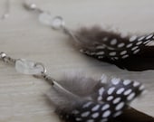 Brown and Polka Dot Feather Earrings